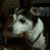 Narline Skor's profile image
