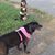Cyndi Hodge's profile image