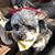 Judi Loucks Fernandez's profile image