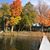 Cheryl Zellmer's profile image