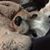 Nancy Byers's profile image