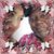 Christy Scott's profile image
