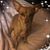 Tracey Merlino's profile image