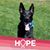 Lisa Pardo's profile image