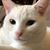 Nancy Lee's profile image