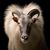 Brian White's profile image