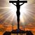 Donna Beyer's profile image