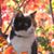 Jason Melzer's profile image