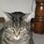Maureen Coyne's profile image
