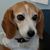 Wendy Oh Lucy Wojo's profile image