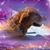 Pam Kindall's profile image
