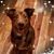 Karen Dean's profile image
