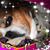 Joshua Congdon's profile image