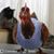 Linda Archer-Kirvel's profile image