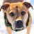 Nancy Frarer Correll's profile image