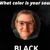 Monica Mize's profile image