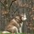 Amy Huber's profile image