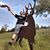 Christopher Joel Mattox's profile image