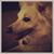 Bolt Marko's profile image