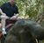 Thomas Venza's profile image