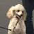Jayne Gerba's profile image