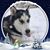 Lorrie Beecham Beyerl's profile image