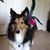 Vicki Gumpper's profile image