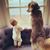 Mary Williams Ciaccio's profile image
