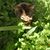 Juanita Wilson Pratt's profile image