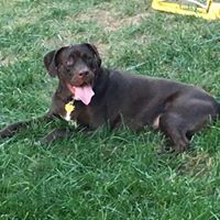 Bruce Paulson's profile image