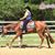 Stephanie McIntyre Barnett's profile image