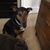 Allison Mandel Giampietro's profile image