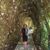 Pam Merola's profile image