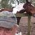 Ray La Mancha's profile image