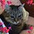 Carol Garwood-Beard's profile image