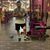 Galeana Francisco's profile image