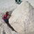 R. Chris Joiner's profile image