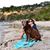 Michelle Namaste's profile image