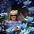 Carman Carrell's profile image