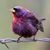 Mary Bunn's profile image
