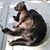 Corinne Odermatt's profile image