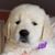 Karen Marr's profile image