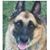 Glenn Catania Sr's profile image
