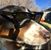Kristopher Rainey Radau's profile image