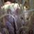 Cindy Smith's profile image