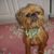 Noreen Thomas's profile image