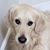 Margie Andrews Bunevith's profile image