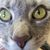 Ana Kruz's profile image