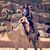 Susu Alarnaout's profile image