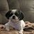 Betty Leslie's profile image